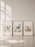 Affiches bébé animaux marins – Douceur des Flots