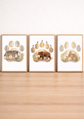 Affiches animaux forêt pour chambre bébé – Esprit de la forêt