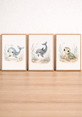 Affiches bébé animaux marins – Douceur des Flots