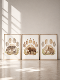Affiches animaux forêt pour chambre bébé – Esprit de la forêt